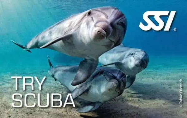 bautizo de buceo en murcia y cartagena