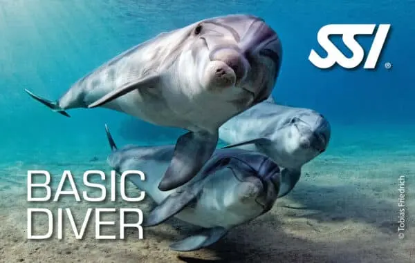 curso de buceo recreativo y bautizo de buceo avanzado en murcia y cartagena