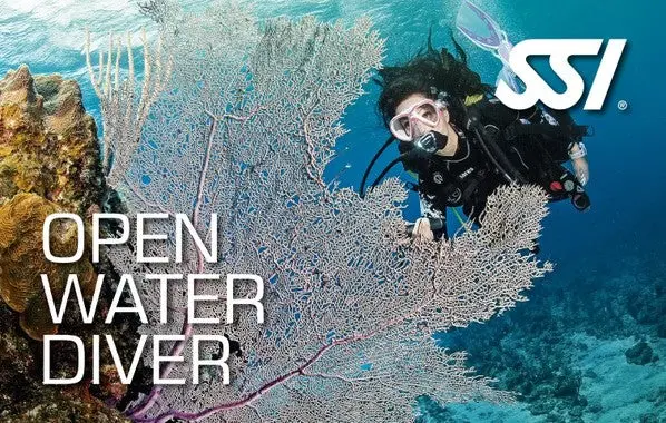 curso de iniciacion al buceo open water diver en Murcia, mazarron , la azohia y cartagena